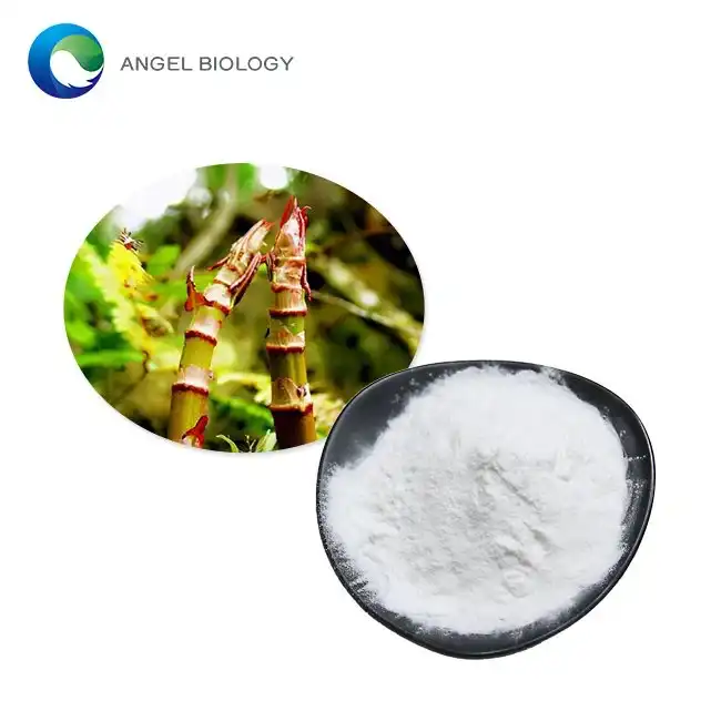 Germany Prioritizes Resveratrol-Rich Polygonum Cuspidatum Extract Powder
